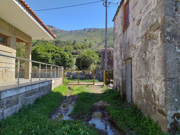 Raiz de Prédios Rústicos e Moradia · Cinfães