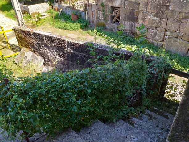 Raiz de Prédios Rústicos e Moradia · Cinfães