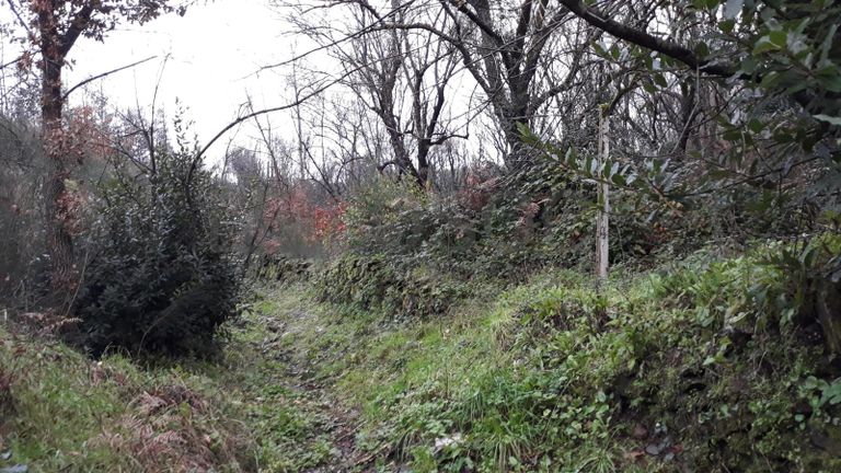 Moradia + Terrenos · Arganil