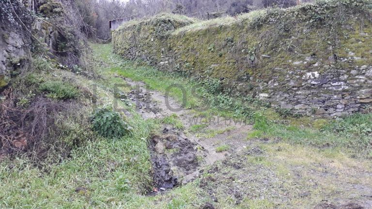 Moradia + Terrenos · Arganil