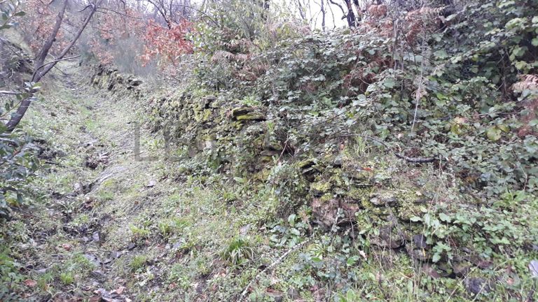 Moradia + Terrenos · Arganil