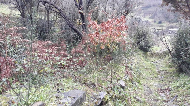 Moradia + Terrenos · Arganil