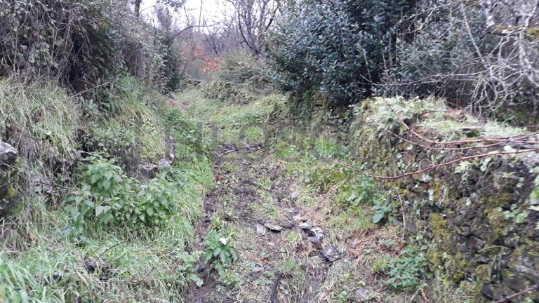 Moradia + Terrenos · Arganil