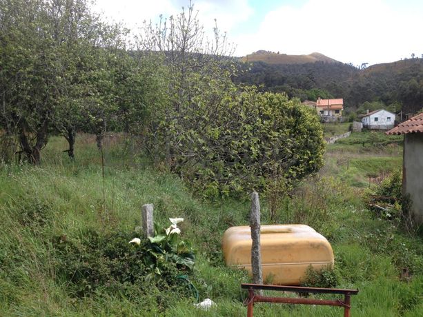 Moradia V2 + Terreno · Valença