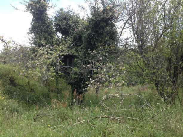 Moradia V2 + Terreno · Valença