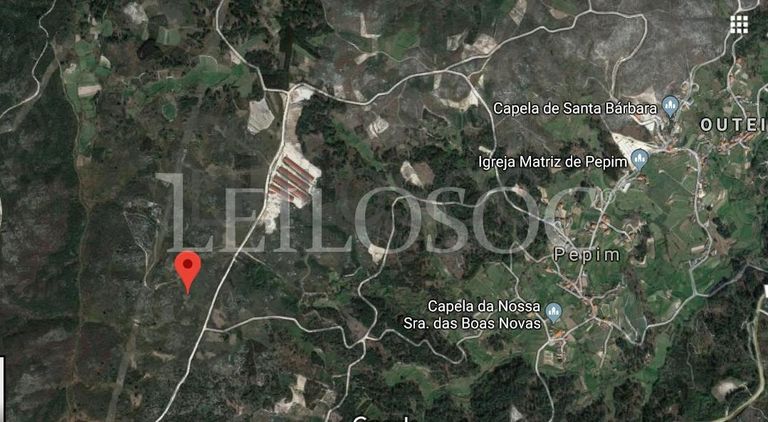 Terreno · Castro Daire