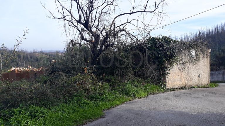 1/3 Moradia (Ruínas) · Penacova - Coimbra