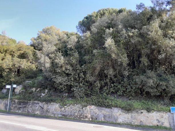 Proporção de 1/3 de Lote para Construção · Amadora