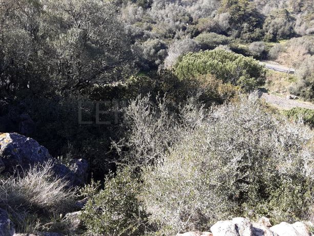 Proporção de 1/3 de Lote para Construção · Amadora