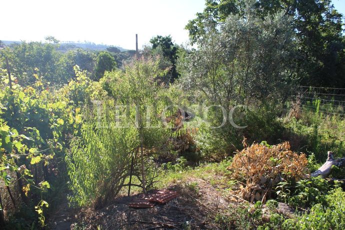 Moradia V2 · Chamusca