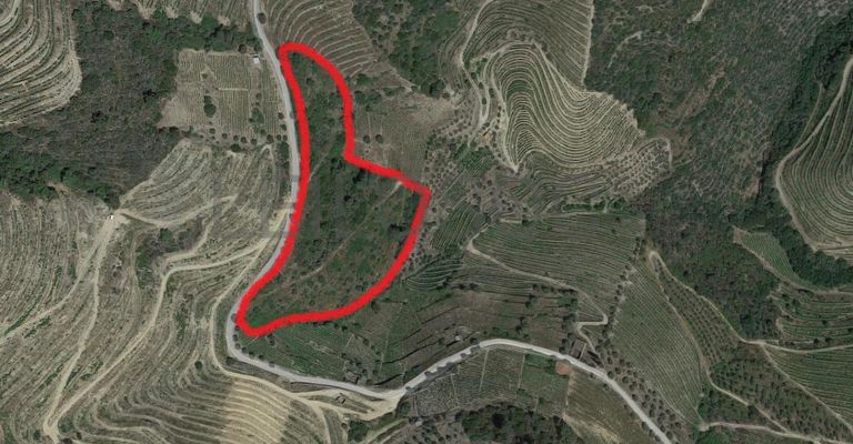 Nua Propriedade de Terreno · Alijó