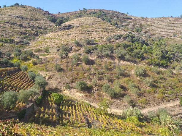 Nua Propriedade de Terreno · Alijó