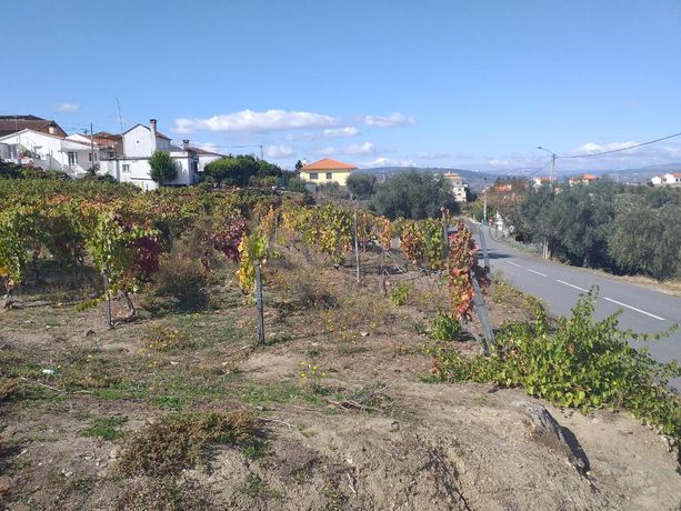 Nua propriedade de Terreno · Alijó