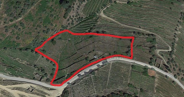 Nua propriedade de Terrenos · Alijó