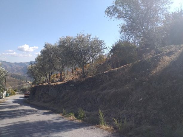 Nua propriedade de Terreno · Alijó