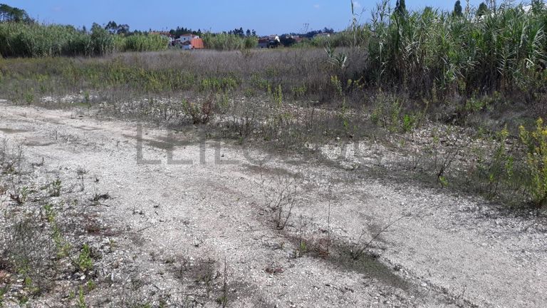 Armazém + Edifício de Escritórios · Soure