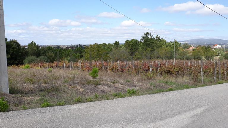 1/5 Terreno · Pombal