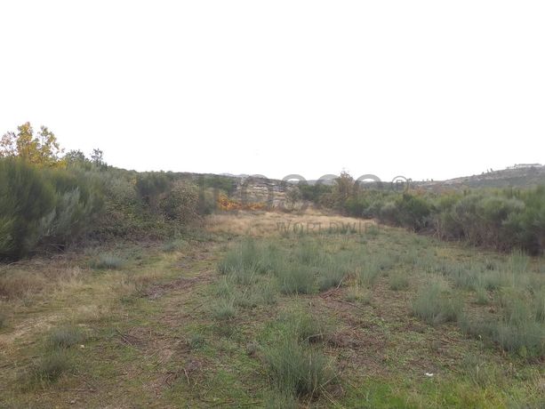 Terreno com Benfeitorias · Vila Real