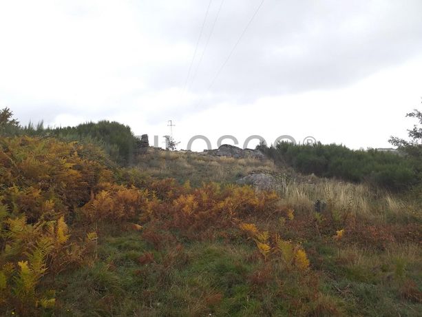 Terreno com Benfeitorias · Vila Real