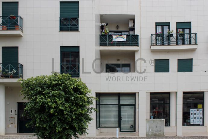 Loja · Santiago do Cacém, Setúbal