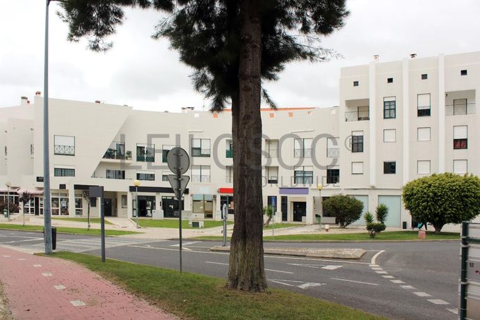 Loja · Santiago do Cacém, Setúbal