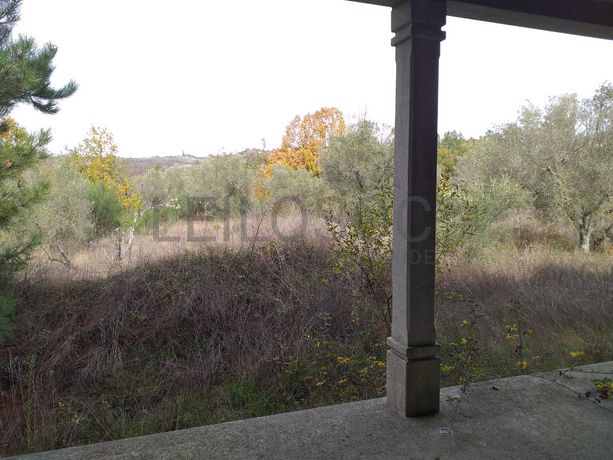 Moradia com Terreno (Benfeitoria) · Sernancelhe, Viseu