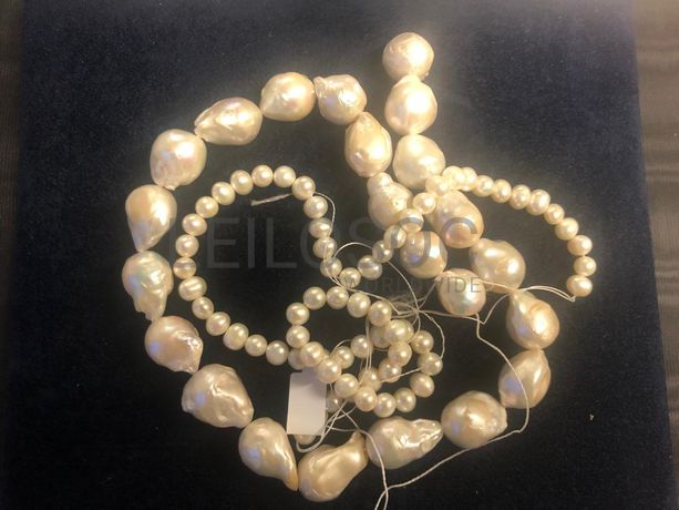 Lote 11 - Verbas 543 a 673