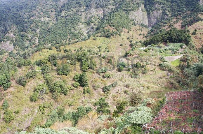 Terrenos · São Vicente