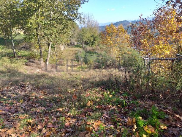 Meação de Terreno · Marco de Canaveses