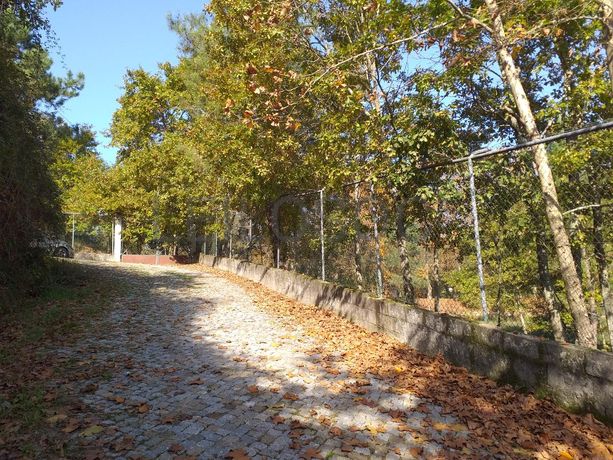 Meação de Terreno · Marco de Canaveses