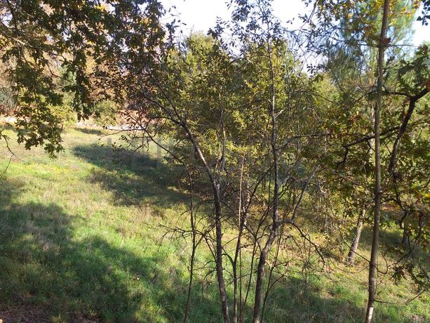 Meação de Terreno · Marco de Canaveses