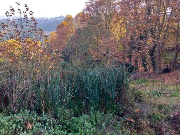 Meação de Terreno · Marco de Canaveses