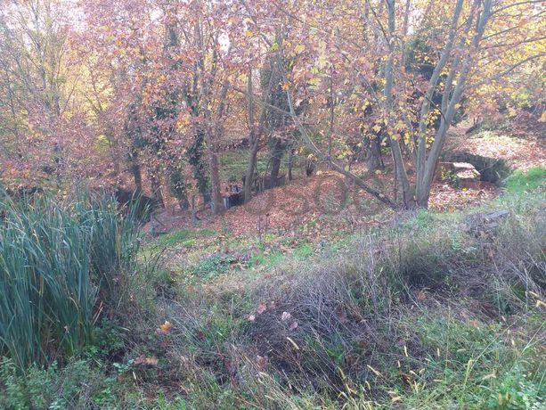 Meação de Terreno · Marco de Canaveses