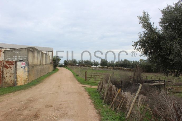 Armazém · Estremoz