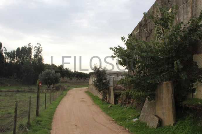 Armazém · Estremoz