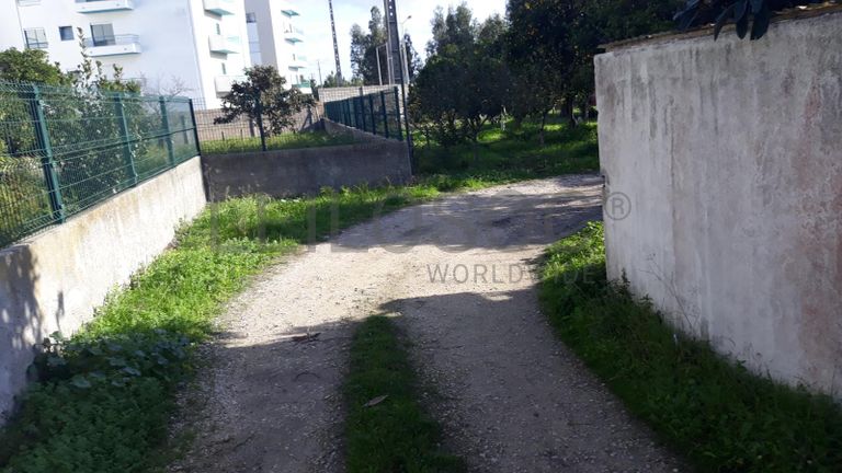 Moradia V5 + Terreno · Marinha Grande