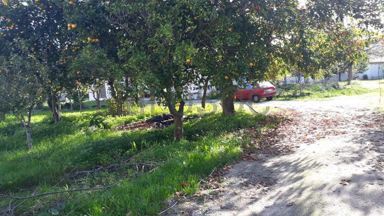 Moradia V5 + Terreno · Marinha Grande