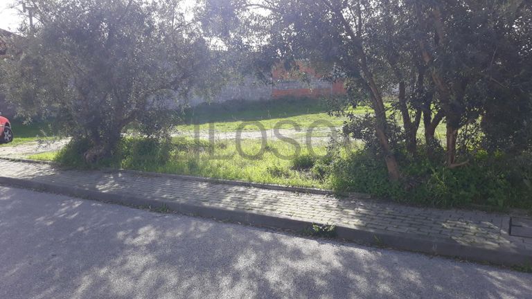 1/3 Lote para Construção · Marinha Grande