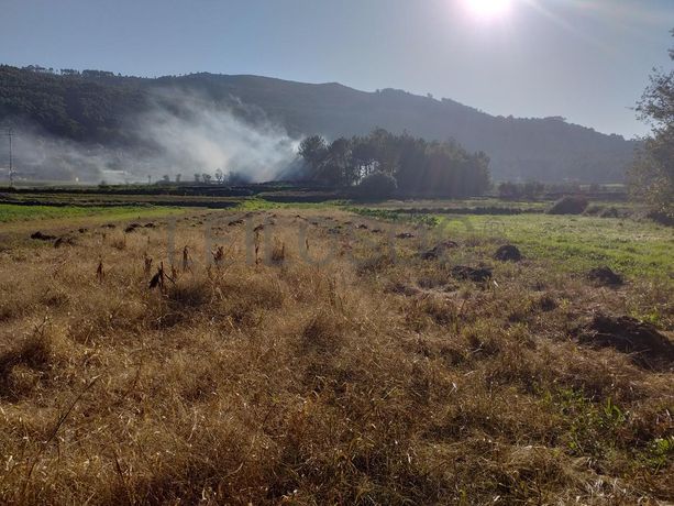 Terreno · Viana do Castelo