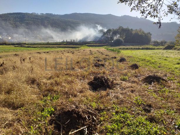 Terreno · Viana do Castelo