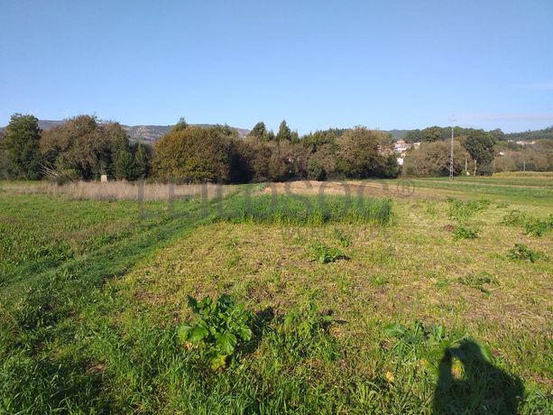 Terreno · Viana do Castelo