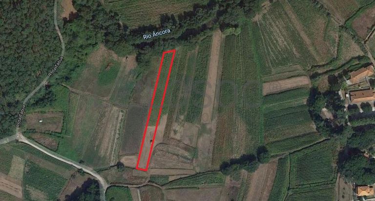 Terreno · Viana do Castelo