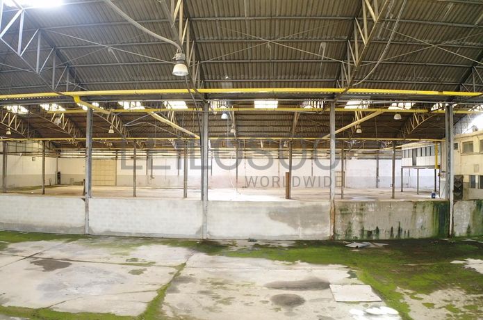 Armazém · Oliveira do Bairro, Aveiro