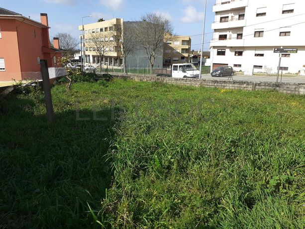 Quinhão Hereditário · Santa Maria da Feira · Portimão