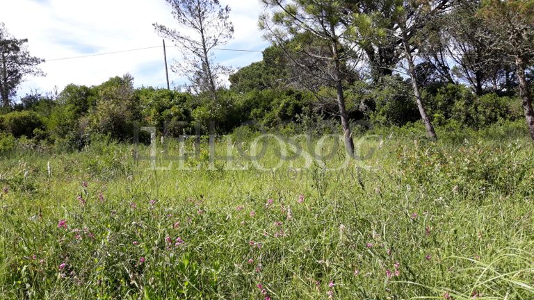 Terreno · Figueira da Foz