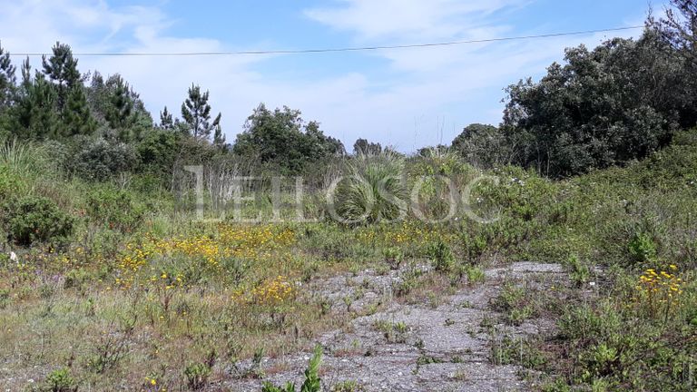 Terreno · Figueira da Foz