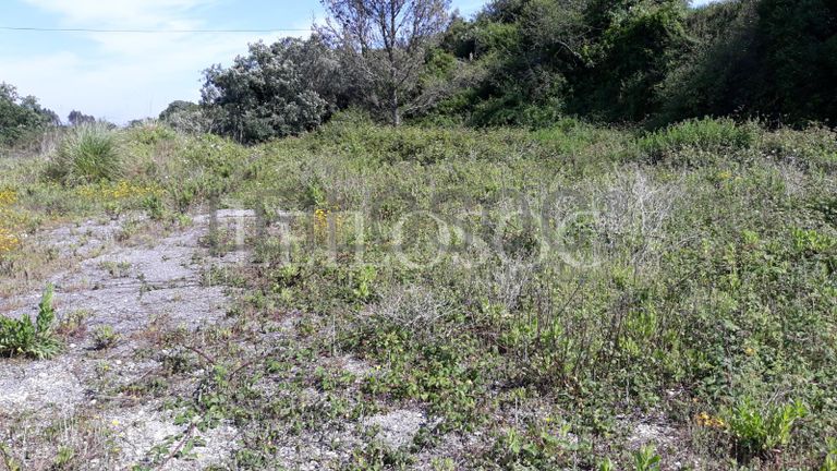 Terreno · Figueira da Foz