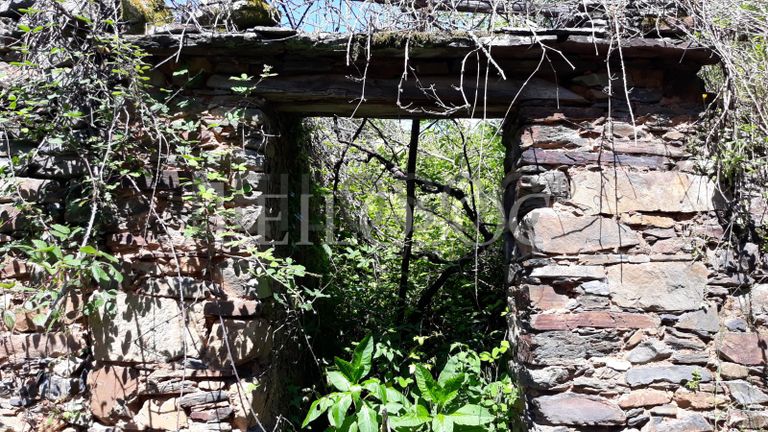 1/3 de Moradia p/ Recuperação · Figueiró dos Vinhos, Leiria