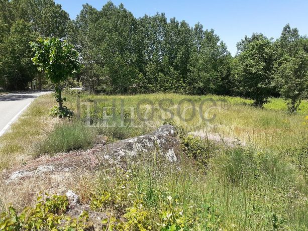 1/2 de Terreno + 1/2 de Terreno · Sernancelhe, Viseu