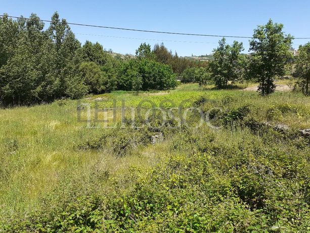 1/2 de Terreno + 1/2 de Terreno · Sernancelhe, Viseu